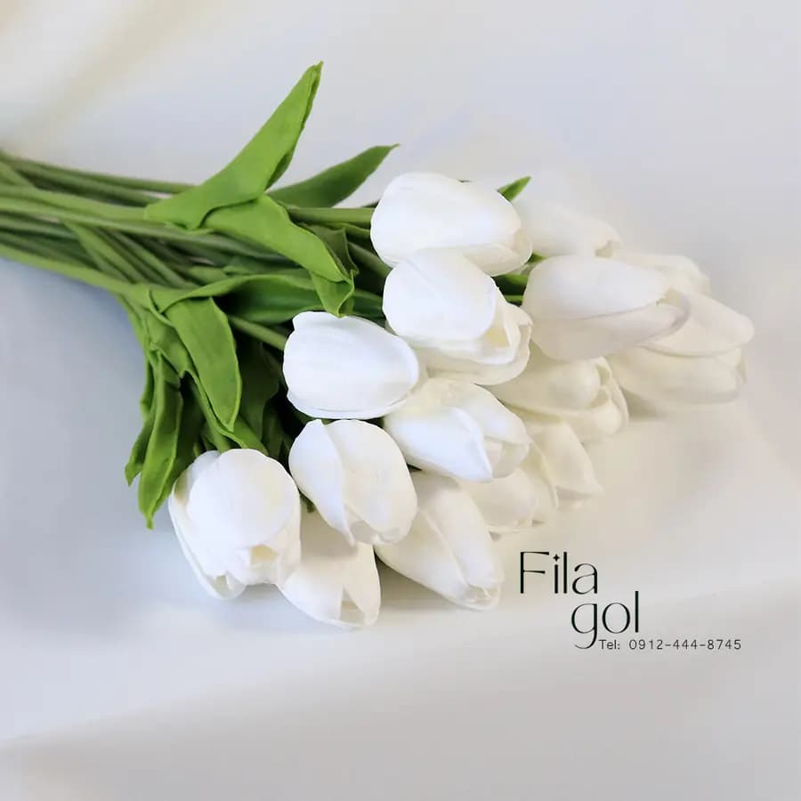 گل شیپوری سفید از نمای نزدیک